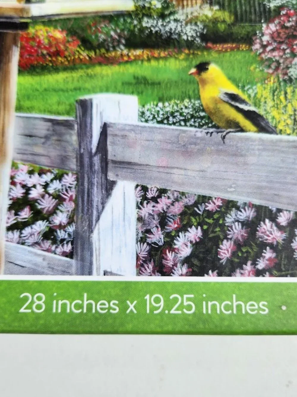 Feathers and Flowers 1000 Piece Jigsaw Puzzle Kevin Daniel Wild Birds Puzzle wit